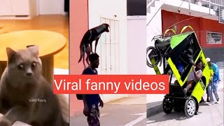 Best fanny fails video | best comedy videos | fanny video | fan video