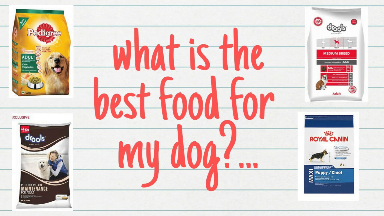 Best ðŸ• Dog food in india- The Dogs Talks - YouTube