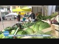 Malnutrizione tra prevenzione e cura Malnutrizione tra prevenzione e cura