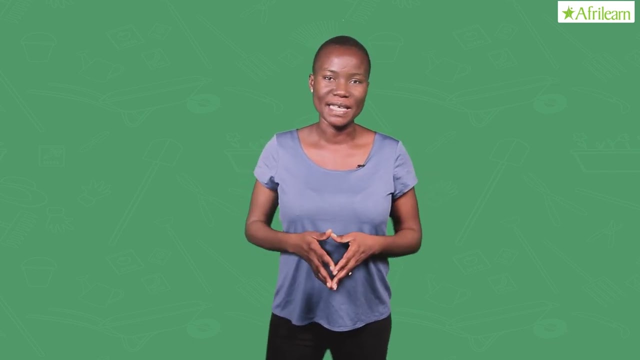 Meaning And Importance Of Farm Planning | Agricultural Science | SS2