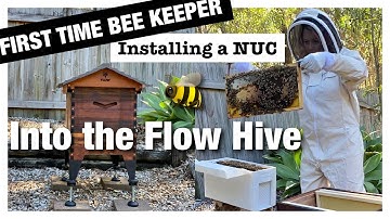 Beginner Bee Keeper installing a NUC into the Flow Hive 🐝 🍯