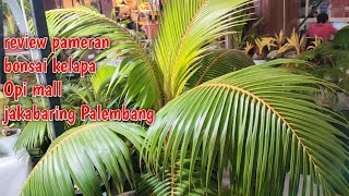 REVIEW PAMERAN BONSAI KELAPA | OPI MALL PALEMBANG || 2022