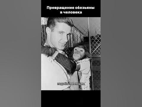 Превращение обезьяны в человека - YouTube