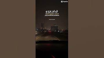 سورة الشرح بصوت رائع