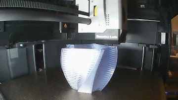 Timelapse - Twisted Vase w/ Strands