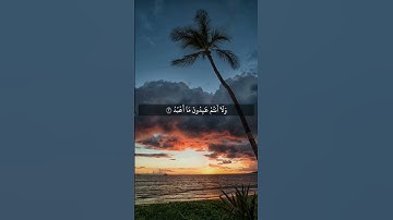 سورة الكافرون بصوت الشيخ أنس العمادي