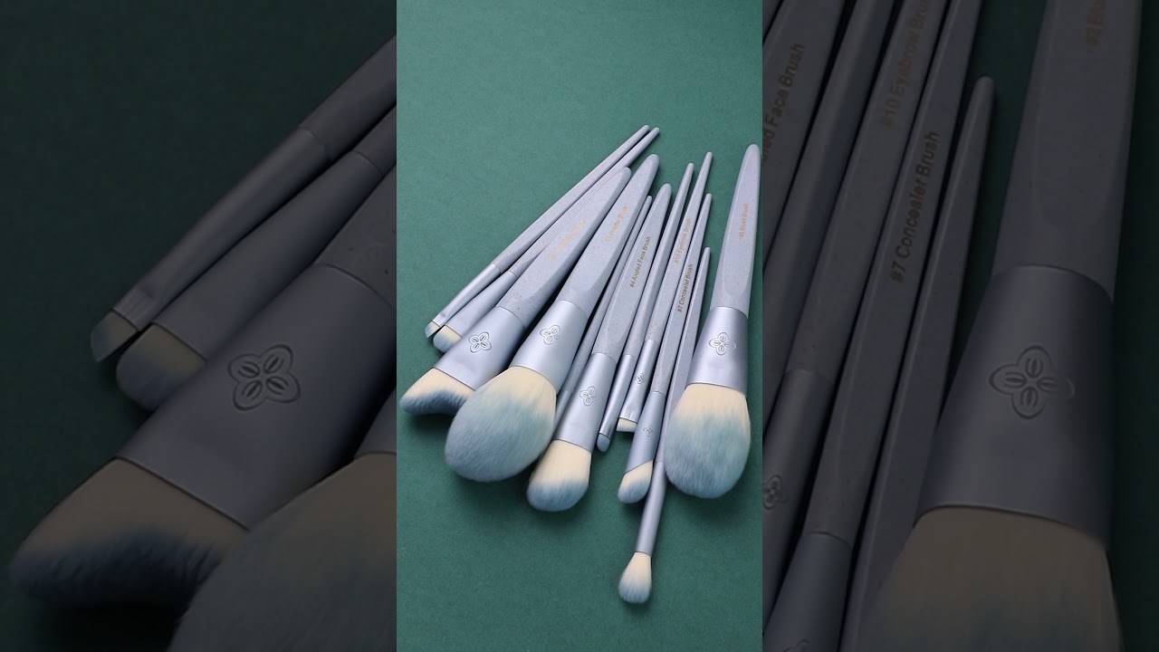 EIGSHOW Beauty: EcoPro Bamboo Fiber 11pcs Professional Makeup Brush Kit Unboxing