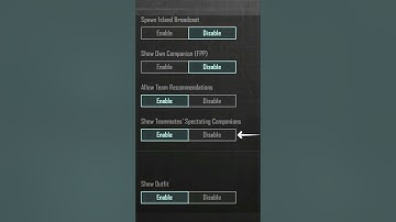 How To Disable Spectating Companion In PUBG Mobile