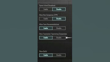 How To Disable Spectating Companion In PUBG Mobile