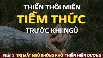 Bản Thiền Thôi Miên TIỀM THỨC Trước Khi Ngủ - Giúp Ngủ Sâu, Thu Hút Năng Lượng Tích Cực