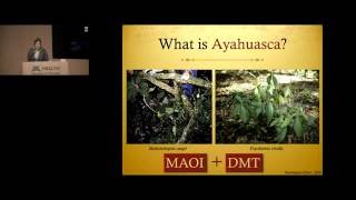 Strange Brew: Pharmacology and Therapeutic Potential of Ayahuasca