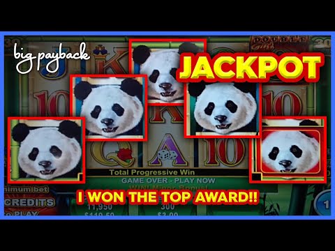 INCONCEIVABLE JACKPOT! Peking Panda Slot - OFF MY SLOT BUCKET LIST!