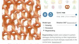 Growing Neural Cellular Automata - Sample 4
