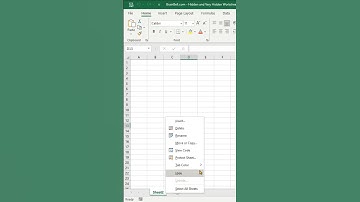 Hide, Very Hide, and Unhide Excel Worksheet #excel #exceltips #vba