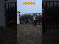 freestyle push up 🥰🥰🥰🥰 #viral #shortfilm #shortvideo #shortfeed #feed