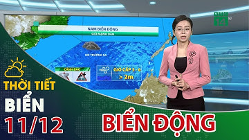 Không khí lạnh tăng cường, biển động mạnh | VTC14