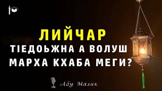 Лийчар тlедоьжна а волуш марха кхаба меги?