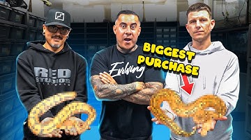 Biggest Snake Purchase Of 2025