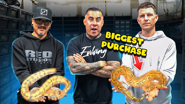 Biggest Snake Purchase Of 2025