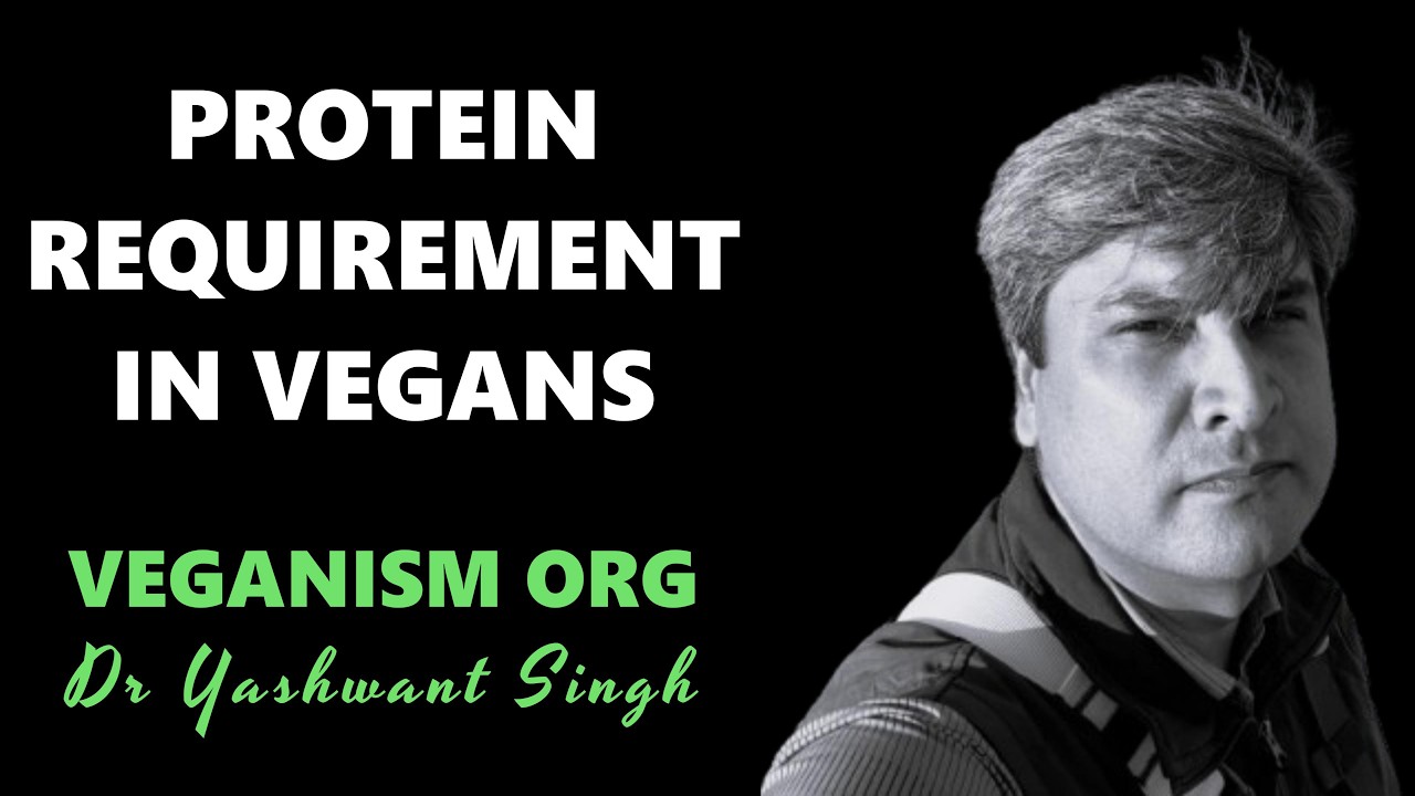 Protein Requirement in Vegans