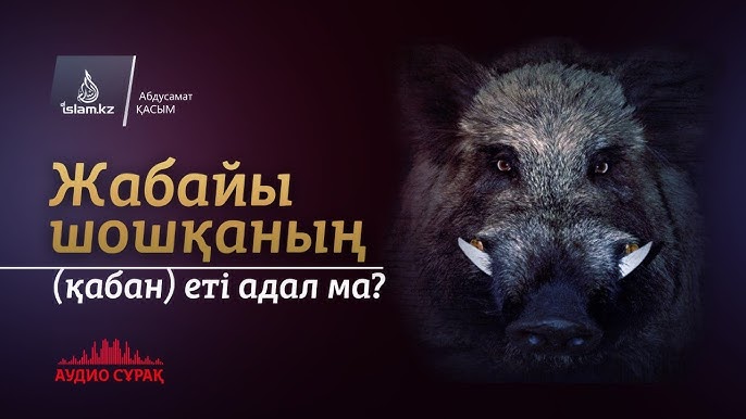 Порно видео hd Ferro Network порно аналармен смотреть Үздік порно жүлдесі