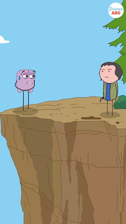 What is Amygdala? The Reason Behind Fear and Attraction