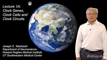 Joseph Takahashi (UT Southwestern/HHMI) Part 1A: Circadian Clocks: Clock Genes, Cells and Circuits