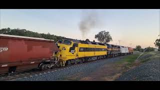 SSR 6CM5 departs TableTop from a stand still. CLF4-CLP12-C501-CLF1 all 645 EMD locomotives.