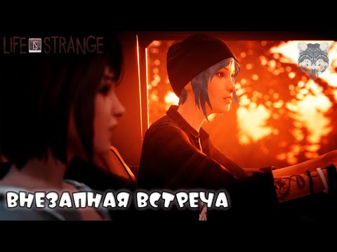 Видео: СТАРАЯ ПОДРУГА.. ТЕПЕРЬ ВСЕ СТАЛО ЯСНЕЕ.. ► LIFE is STRANGE 1 [#2]