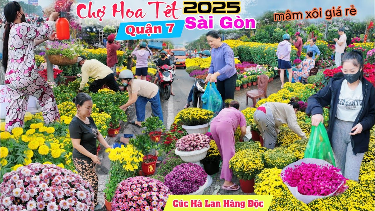 Tấp nập người mua hoa kiểng giá rẻ Quận 7 chợ hoa tết sài gòn 2025