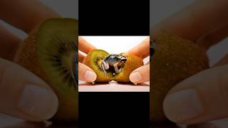 Inside Every Fruit, a Tiny Miracle is Born .