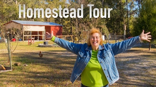 A Tour Of Becky's Homestead Early 2017
