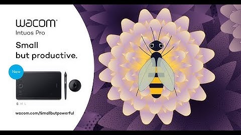 Introducing the new Wacom Intuos Pro S|  Honeybee: Small but productive