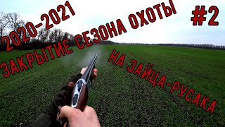 #2 ЗАКРЫТИЕ СЕЗОНА ОХОТЫ НА ЗАЙЦА 2020-2021 В МЕСТНЫХ УГОДЬЯХ : ДЕНЬ ВТОРОЙ