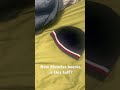 New Moncler Beenie Rate In The Comments Moncler Winter Cold Designerclothes Shorts mp3