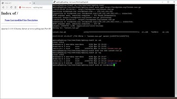 How to setup a Local Testing Environment for WordPress 2019 Part 4 - Install WordPress using Shell