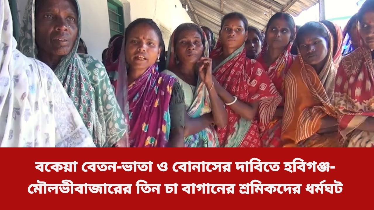 বকেয়া বেতন-ভাতা ও বোনাসের দাবিতে হবিগঞ্জ-মৌলভীবাজারের তিন চা বাগানের শ্রমিকদের ধর্মঘট চলছে
