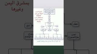 شجرة نسب قبيلة بني جبر بن خولان بمحافظة مارب بشرق اليمن