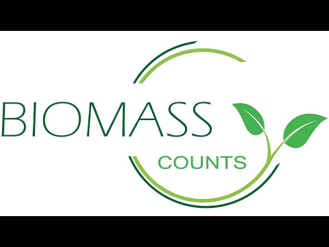 Why does Biomass
