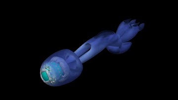 Flow past sphere, Re 300 (Q criterion - isosurfaces)