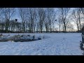 VR180 Crows in the snow