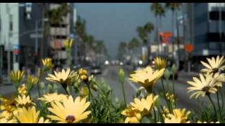 ADAPTATION, Best Time lapse scene ever shot