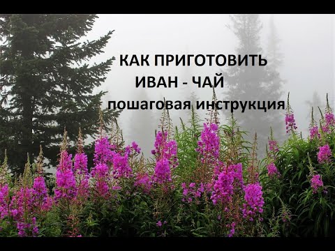 Бейне: Копорский шай. Қорытынды кезең