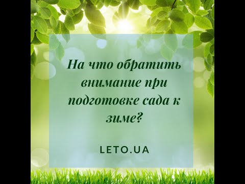 На что обратить внимание при подготовке сада к зиме?