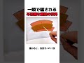 一瞬で騙される不思議な錯視の世界