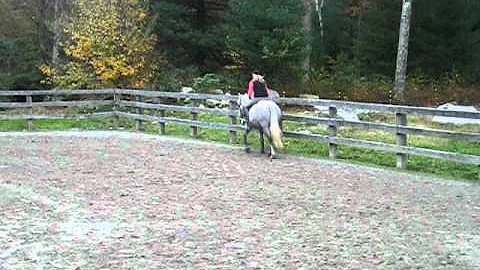 Heather riding Suzie Q in english tack