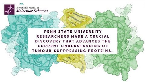 Study reveals the complete ‘genome guardian’ p53 structure