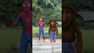 Spider Man Vs Chucky Funny