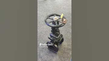 Cast Iron Sluice Valve with Rising main | Sluice Valve #valves #plumbingdesign #shorts #plumbex