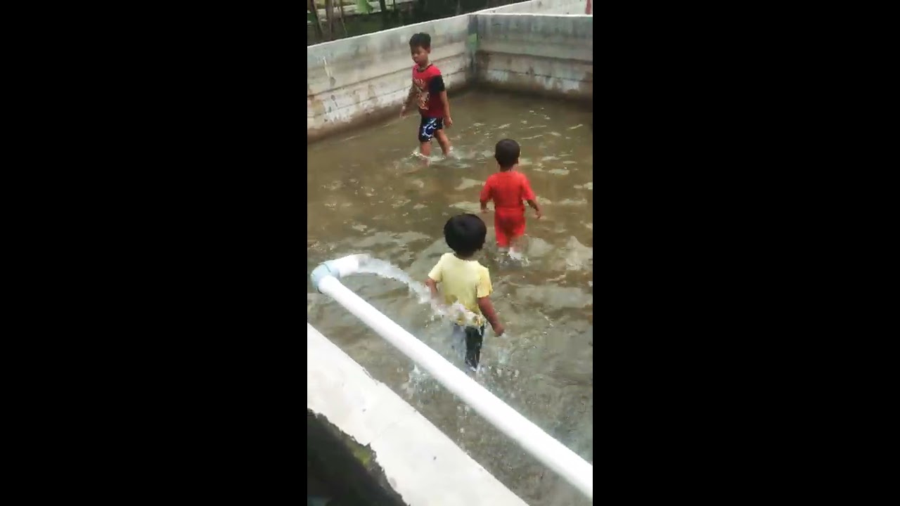 Main air di kolam - YouTube